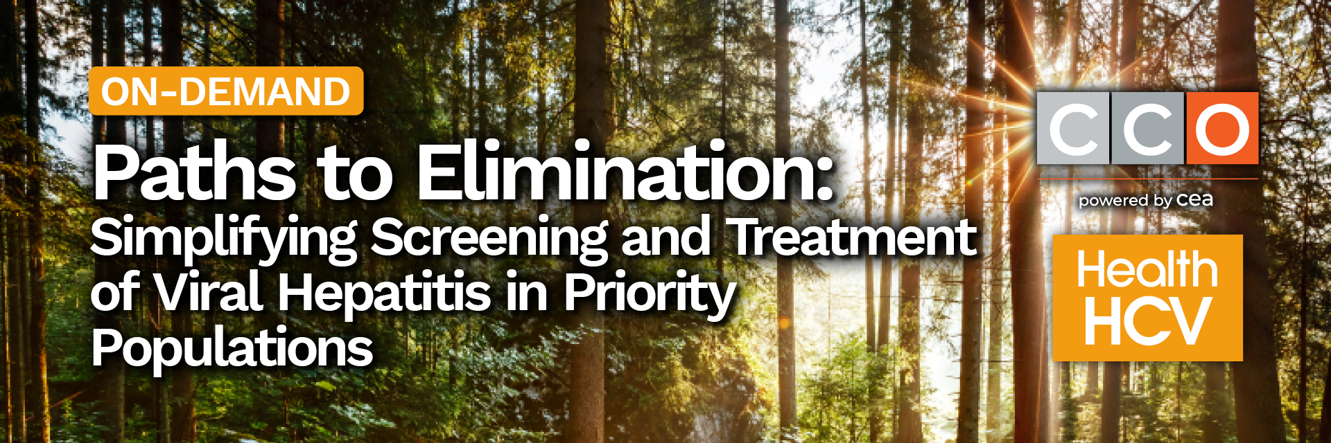 Paths to Elimination: Simplifying Screening and Treatment of Viral Hepatitis in Priority Populations